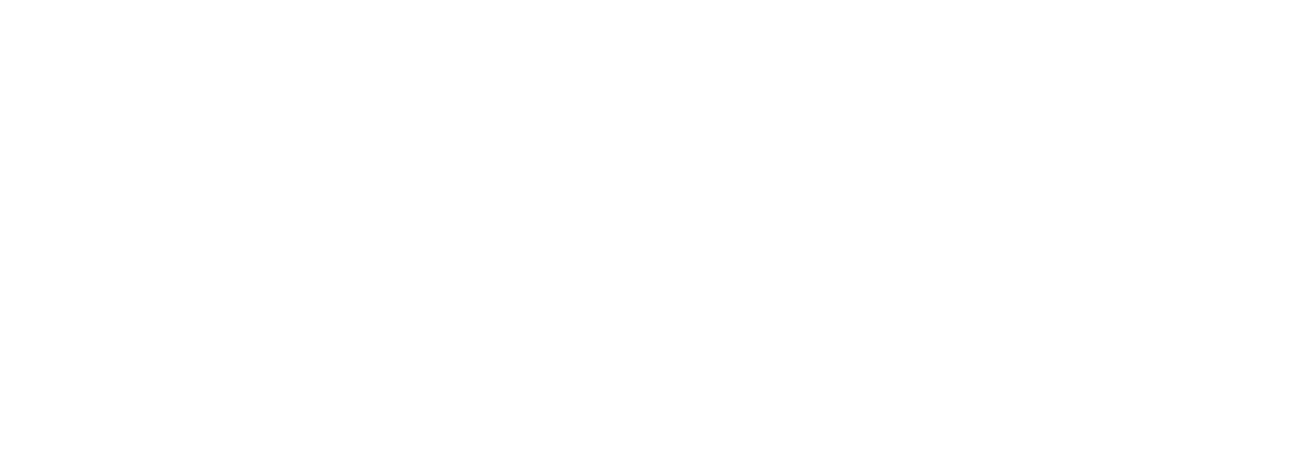 NZZ